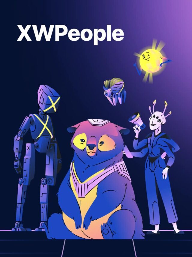 What it’s like to work at XWP: Meet our XWPeople